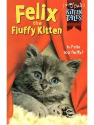 Felix The Fluffy Kitten