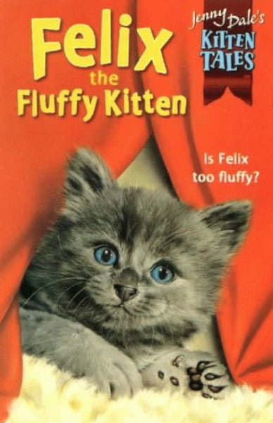 Felix The Fluffy Kitten